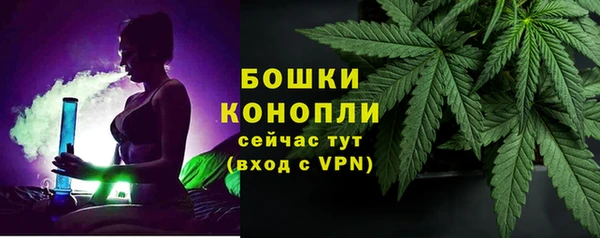 ПСИЛОЦИБИНОВЫЕ ГРИБЫ Краснотурьинск