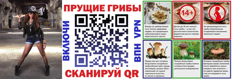 Псилоцибиновые грибы MAGIC MUSHROOMS  что такое наркотик  Фатеж 